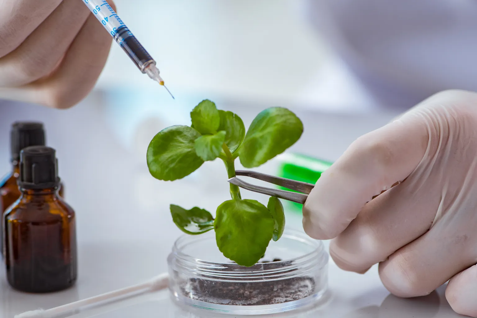 Biotechnology Laboratory